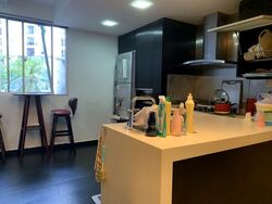 Emerald Park (D3), Condominium #579085601